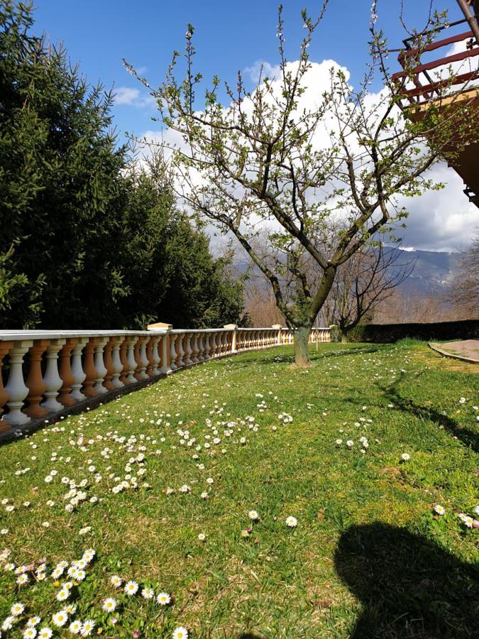Pri Stari Murvi Vogrsko ภายนอก รูปภาพ