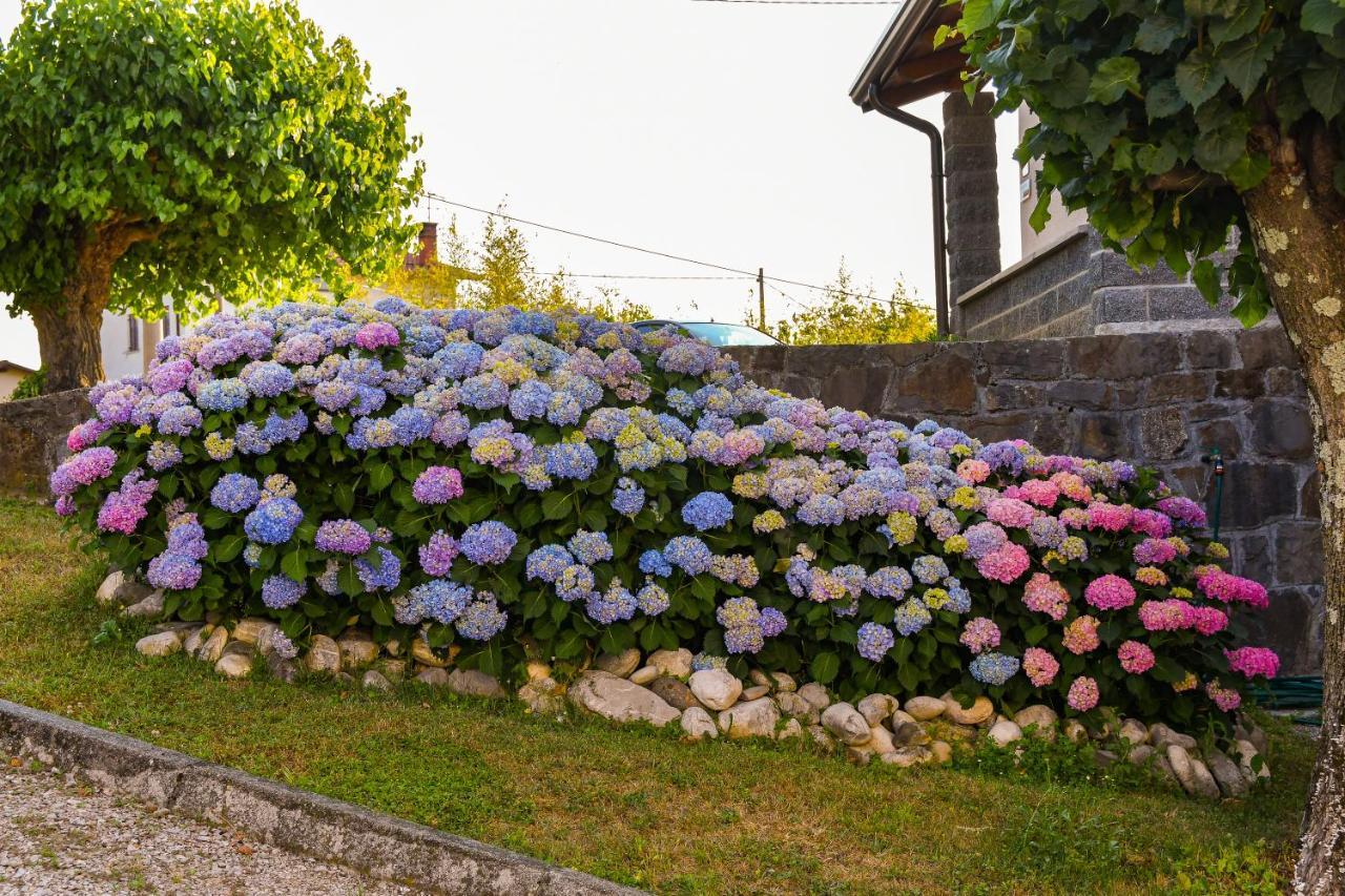 Pri Stari Murvi Vogrsko ภายนอก รูปภาพ